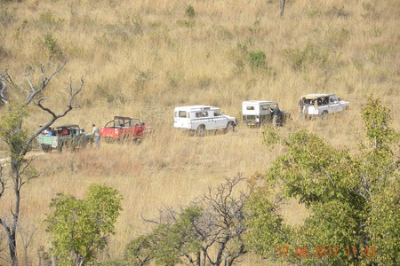 Vehicles in the veld – where they belong