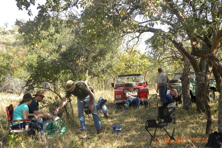 Under the big tree