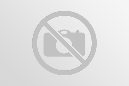 No images
