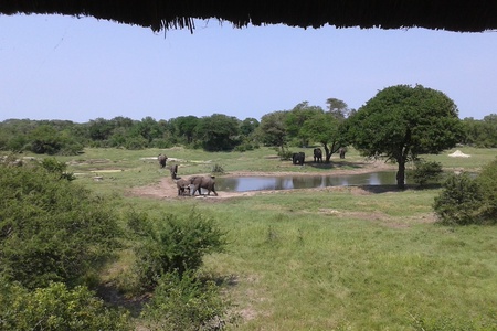 Tembe Work Weekend & Fundraiser