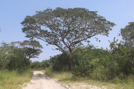 Tembe Work Weekend & Fundraiser