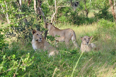 Tembe Work Weekend & Fundraiser