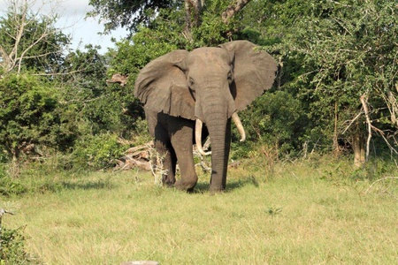 2019 Tembe Work Week & Fund-Raiser