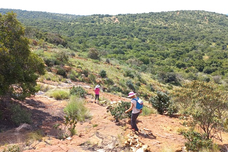Treasure Hunt 2